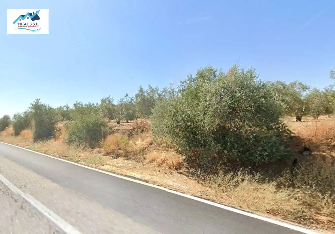 Rural land for sale in Marchena