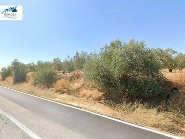 Rustikales Grundstück zum Verkauf in Marchena