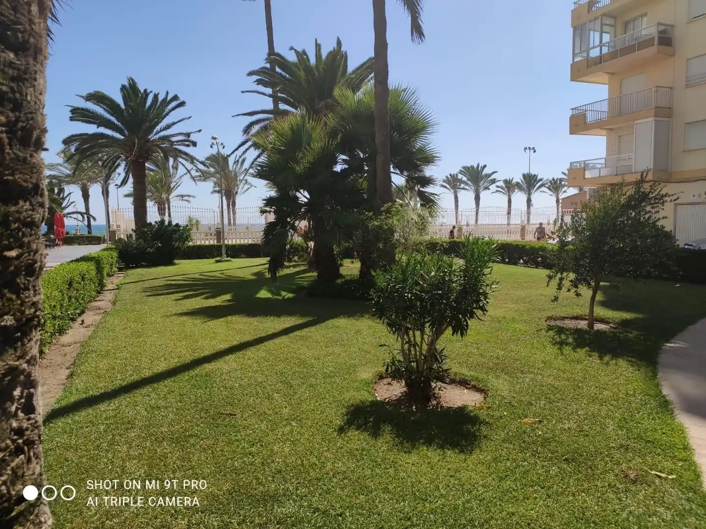 Garden of Apartments for rent in Algarrobo