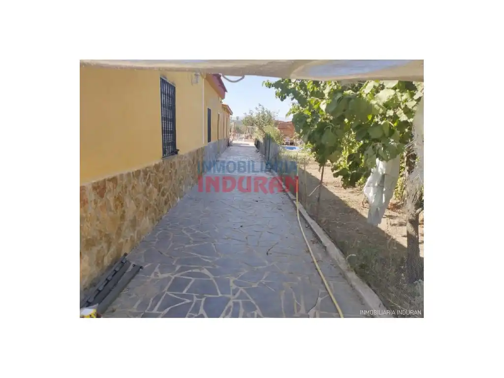 Vista exterior de Casa o chalet en venta en Millanes con Piscina