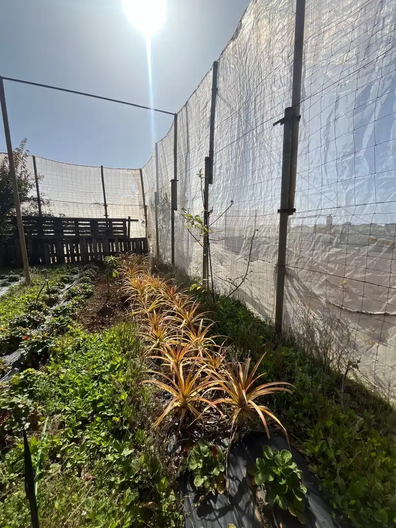 Residencial en venta en El Pinar de El Hierro