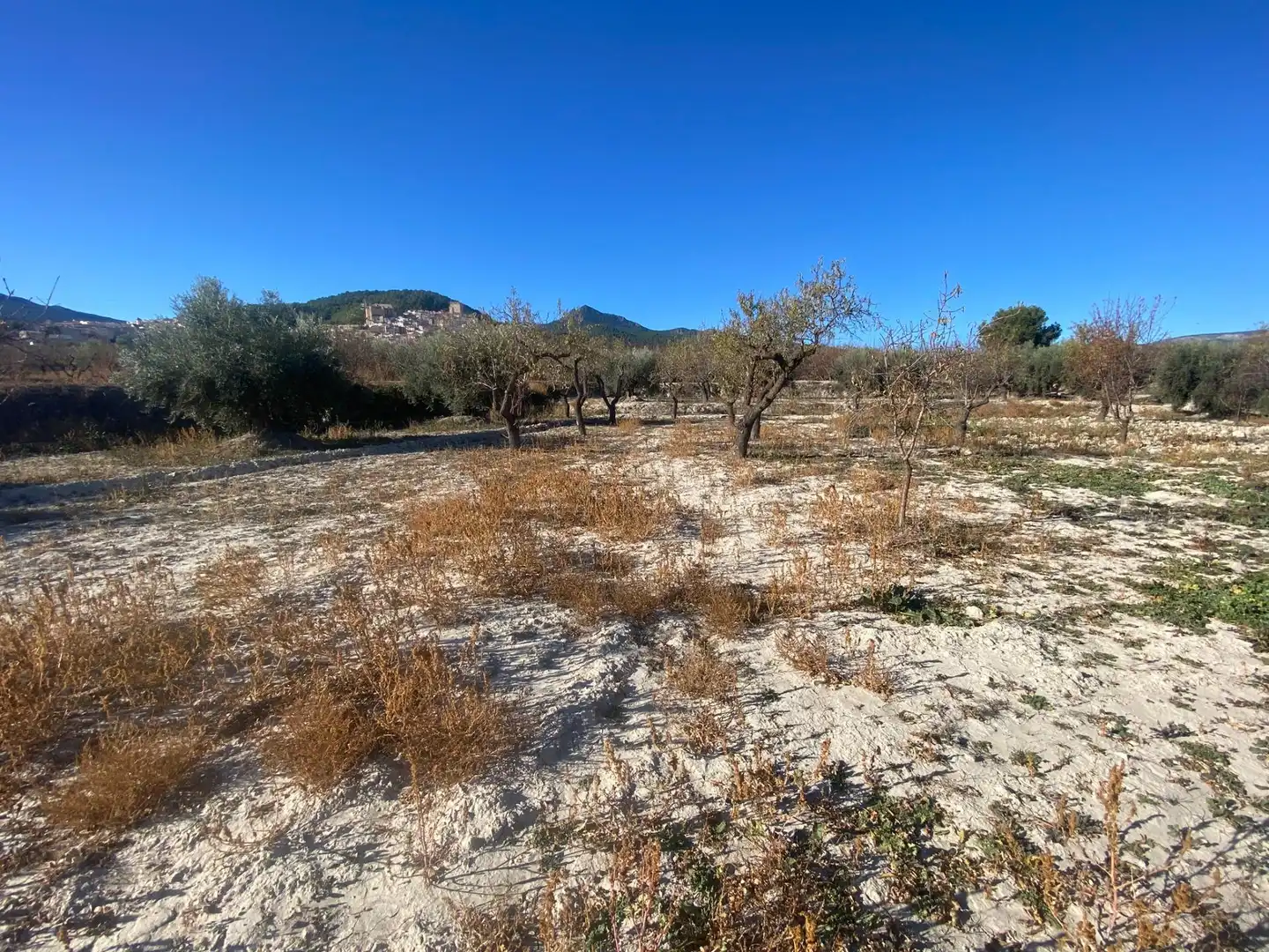 Terreni e lotti in vendita a Moratalla, imagen 5