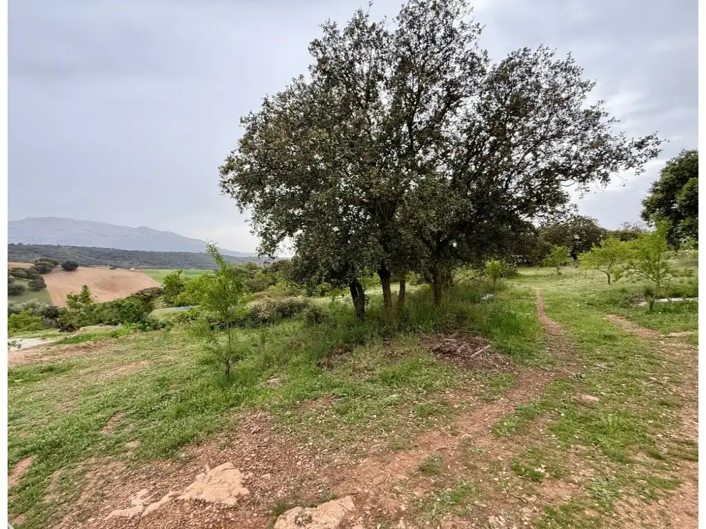 Casa o chalet en venta en Alhama de Granada