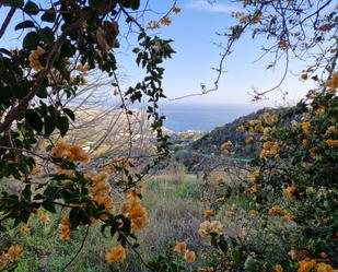 Vista exterior de Finca rústica en venda en Salobreña amb Terrassa