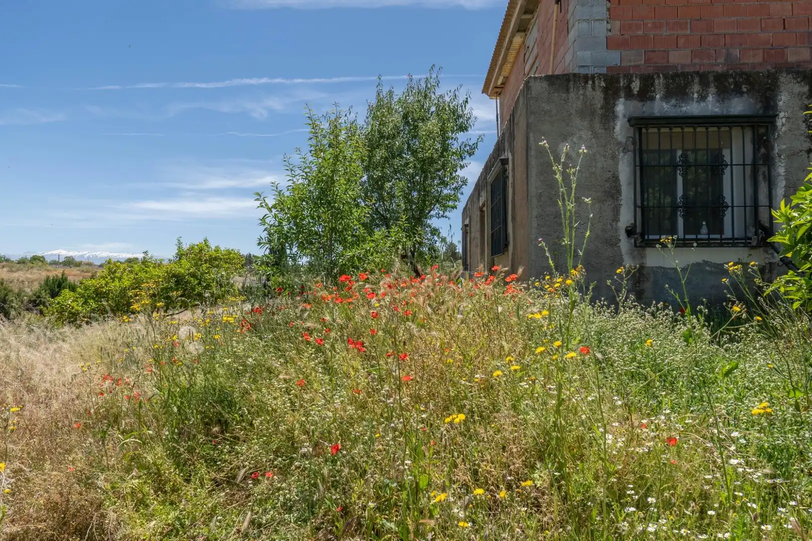 Casa o xalet en venda a Moraleda de Zafayona