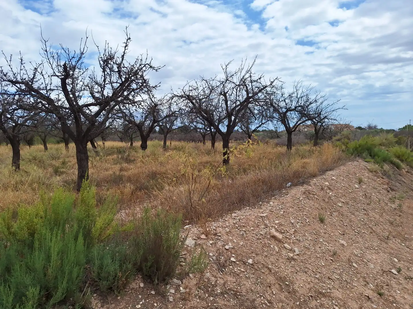 Rural land for sale in Villamontes - Boqueres, imagen 2