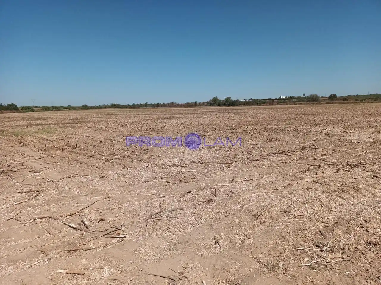 Lands and plots for sale in carretera, imagen 4