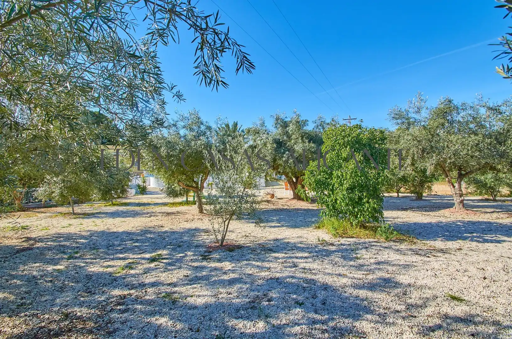 Casa o xalet en venda en Alicante / Alacant amb Aire condicionat, Jardí privat i Terrassa