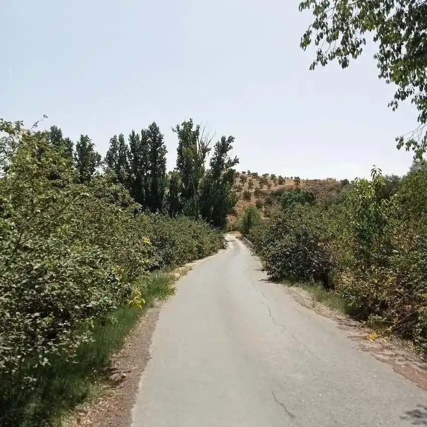 Casa o xalet en venda en Priego de Córdoba