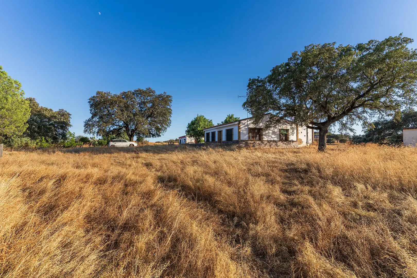 Land for sale in Calañas
