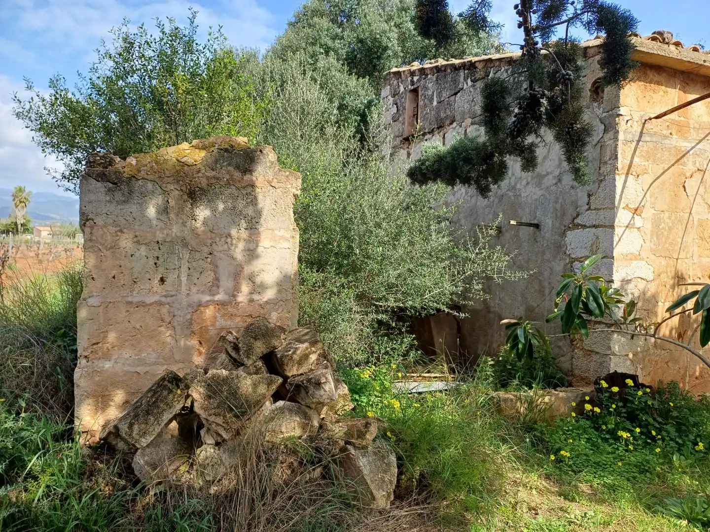 Maison rustique à vendre à Santa María del Camí, imagen 5