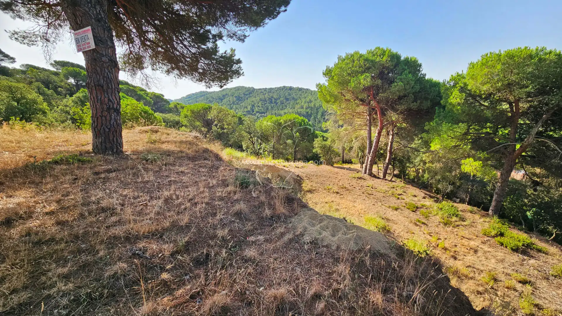 Terreno residencial en venta en Carrer Estels 12, imagen 8