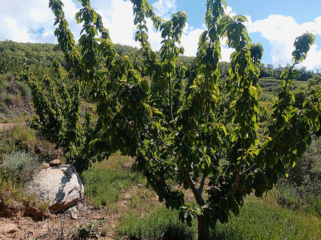 Terreno en Venta en N/A, -1 en Barrado