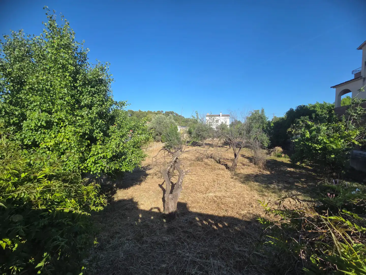 Residential land for sale in Masquefa