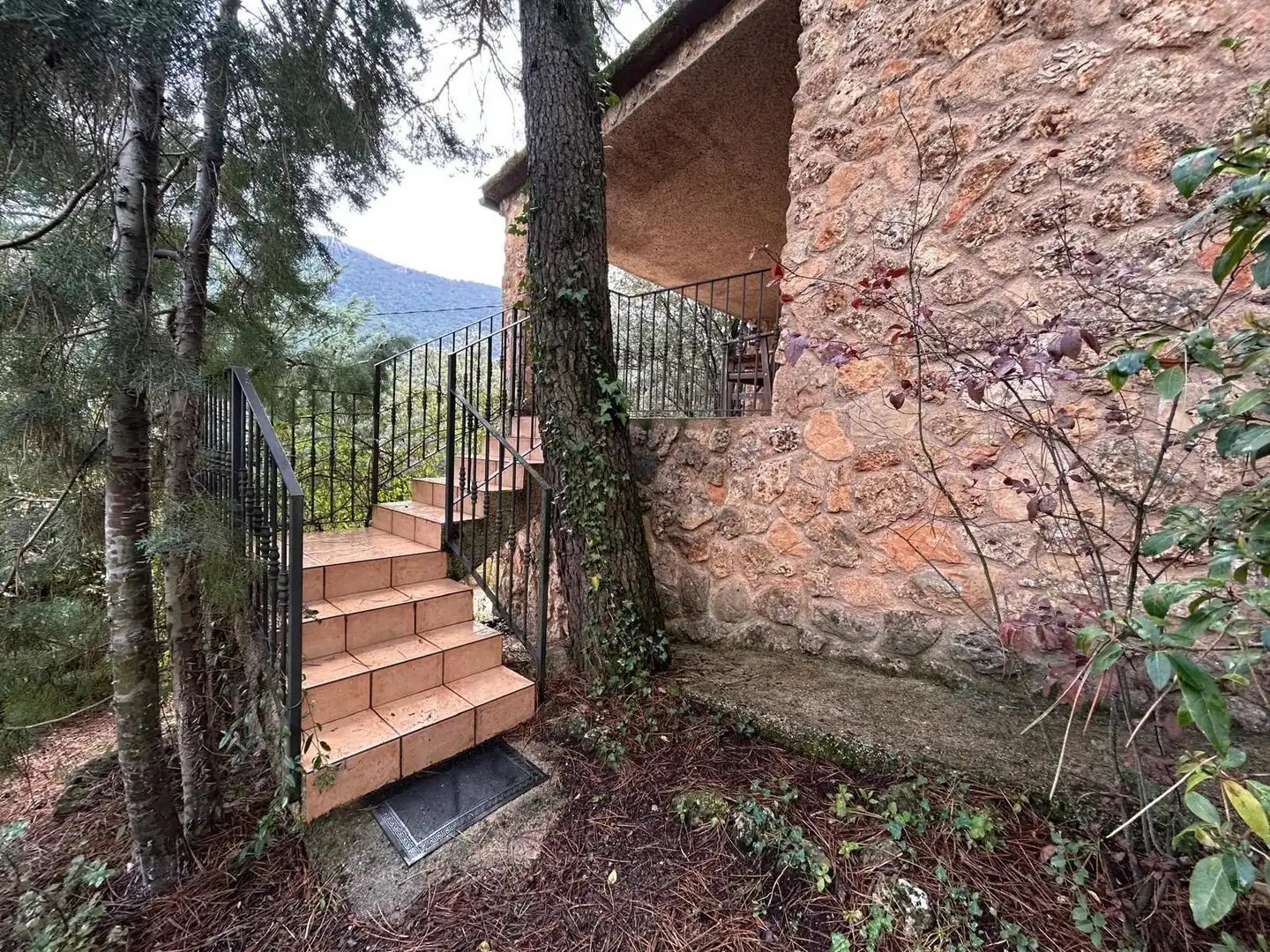 Jardín de Finca rústica en venta en Riópar con Terraza, Trastero y Amueblado