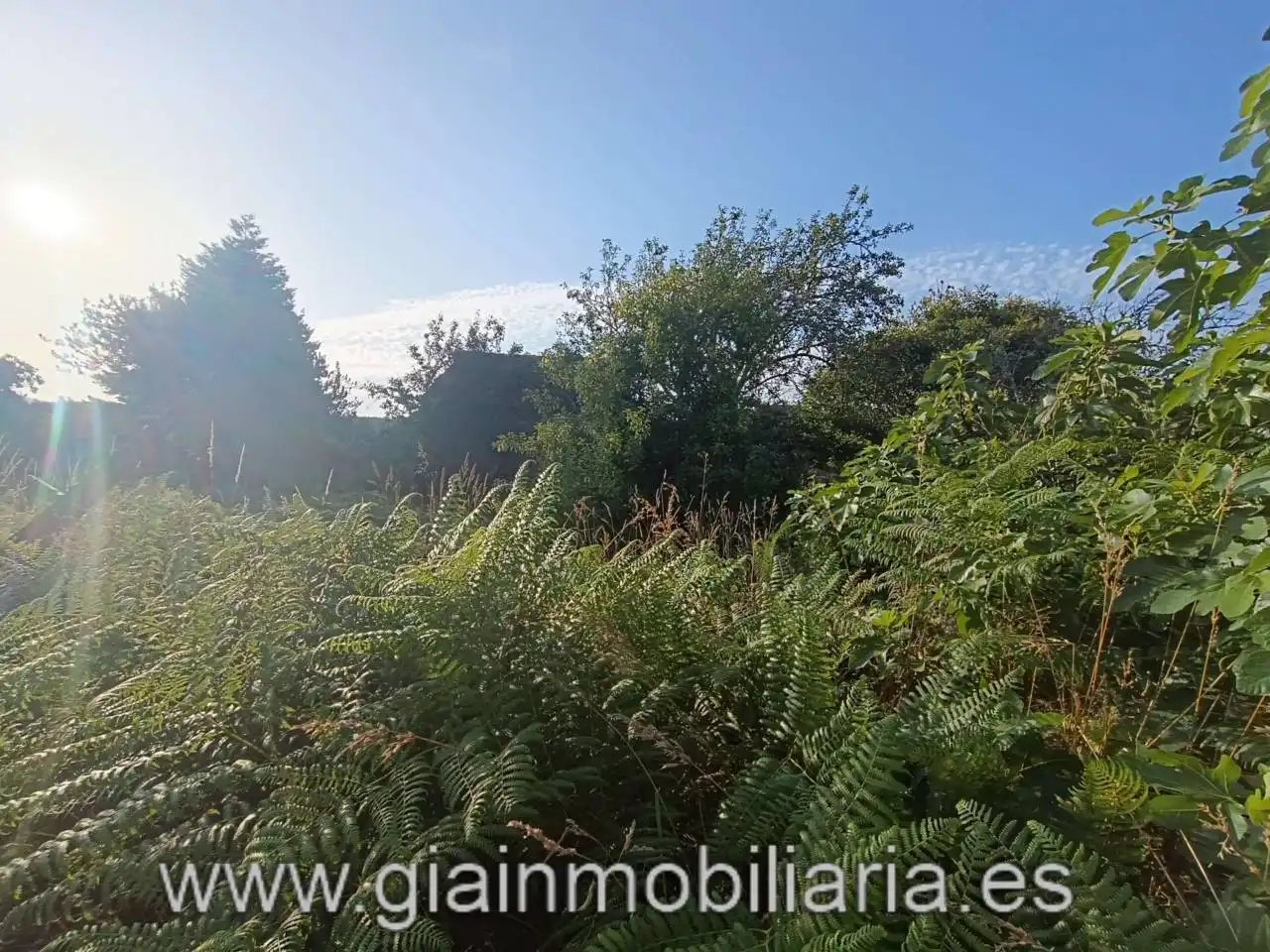 Casa en venta en Calle Ceo, imagen 9