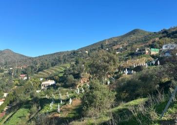 Vista exterior de Casa o xalet en venda en Cártama amb Jardí privat, Terrassa i Traster