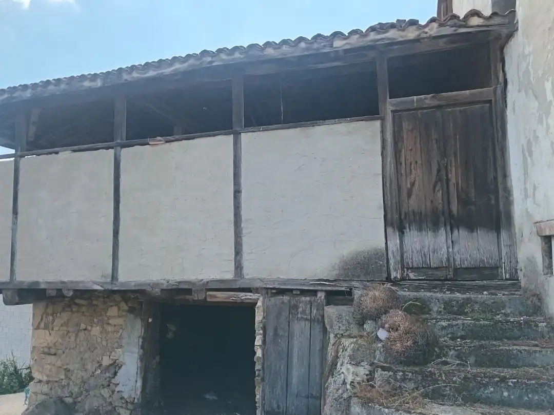 Vista exterior de Casa o xalet en venda en Tineo amb Terrassa