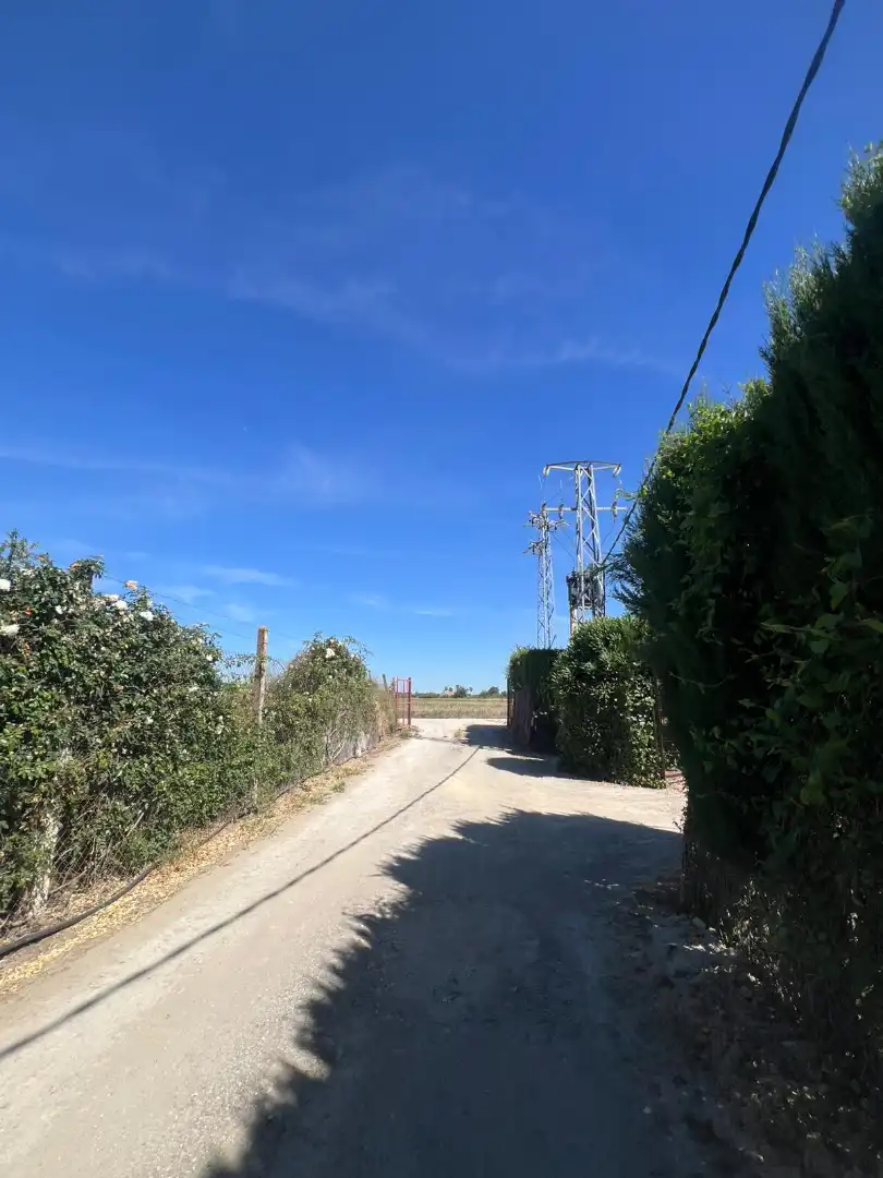 Land for sale in Los Palacios y Villafranca