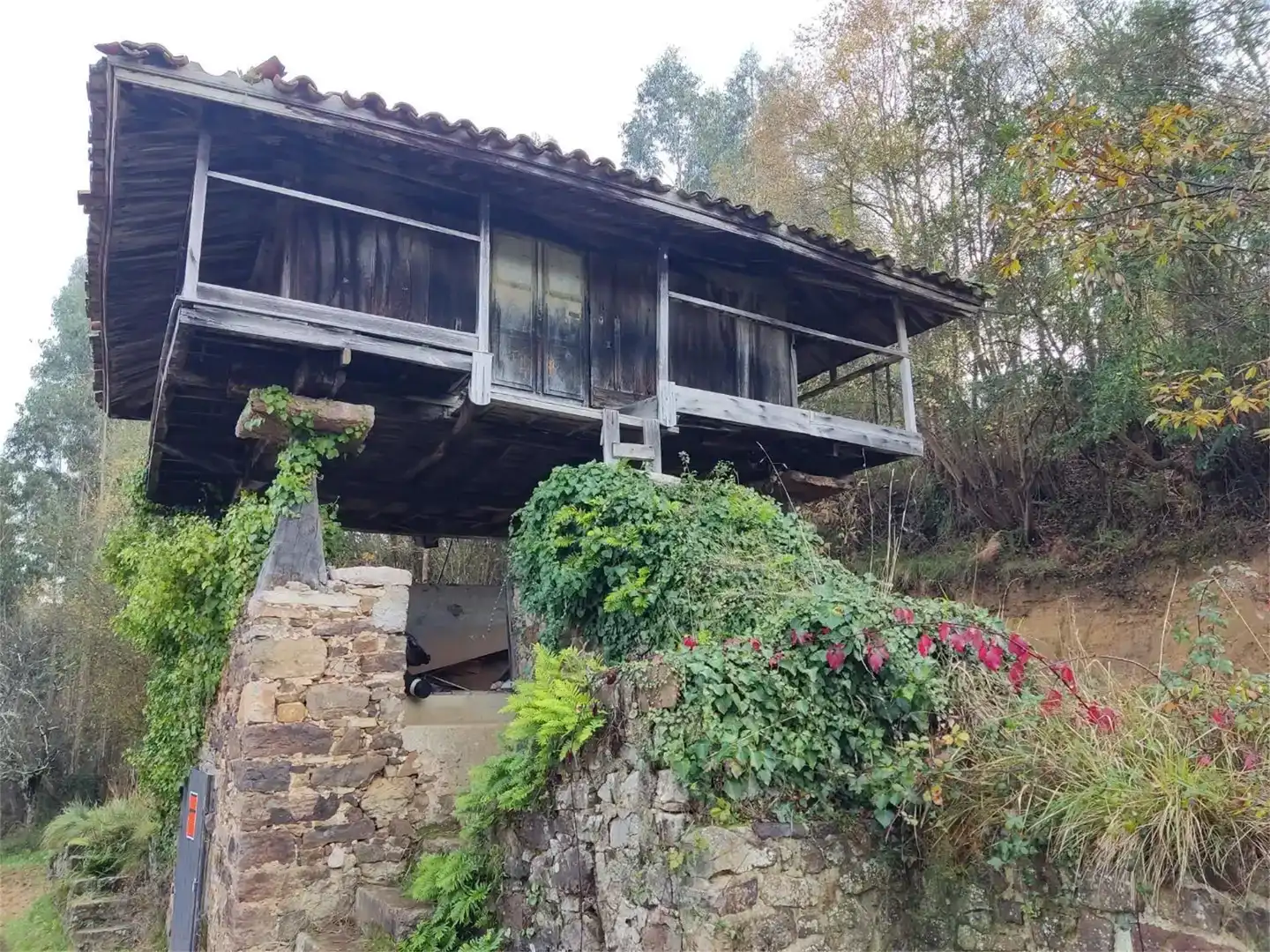 Vista exterior de Finca rústica en venda en Soto del Barco