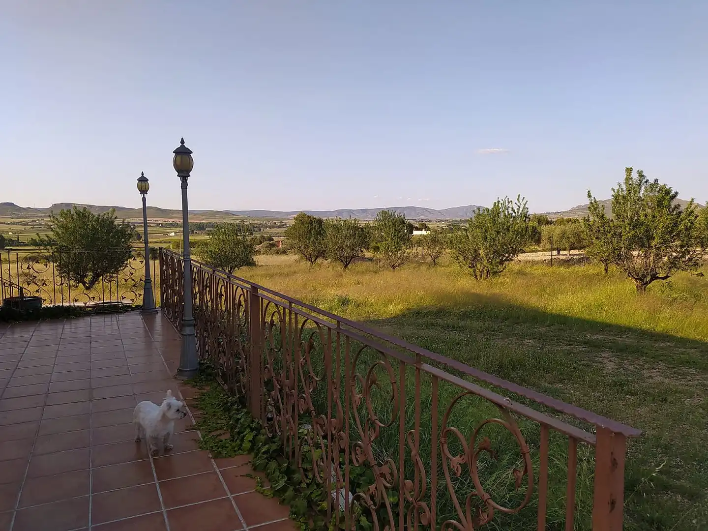 Jardí de Casa o xalet en venda en Yecla amb Aire condicionat