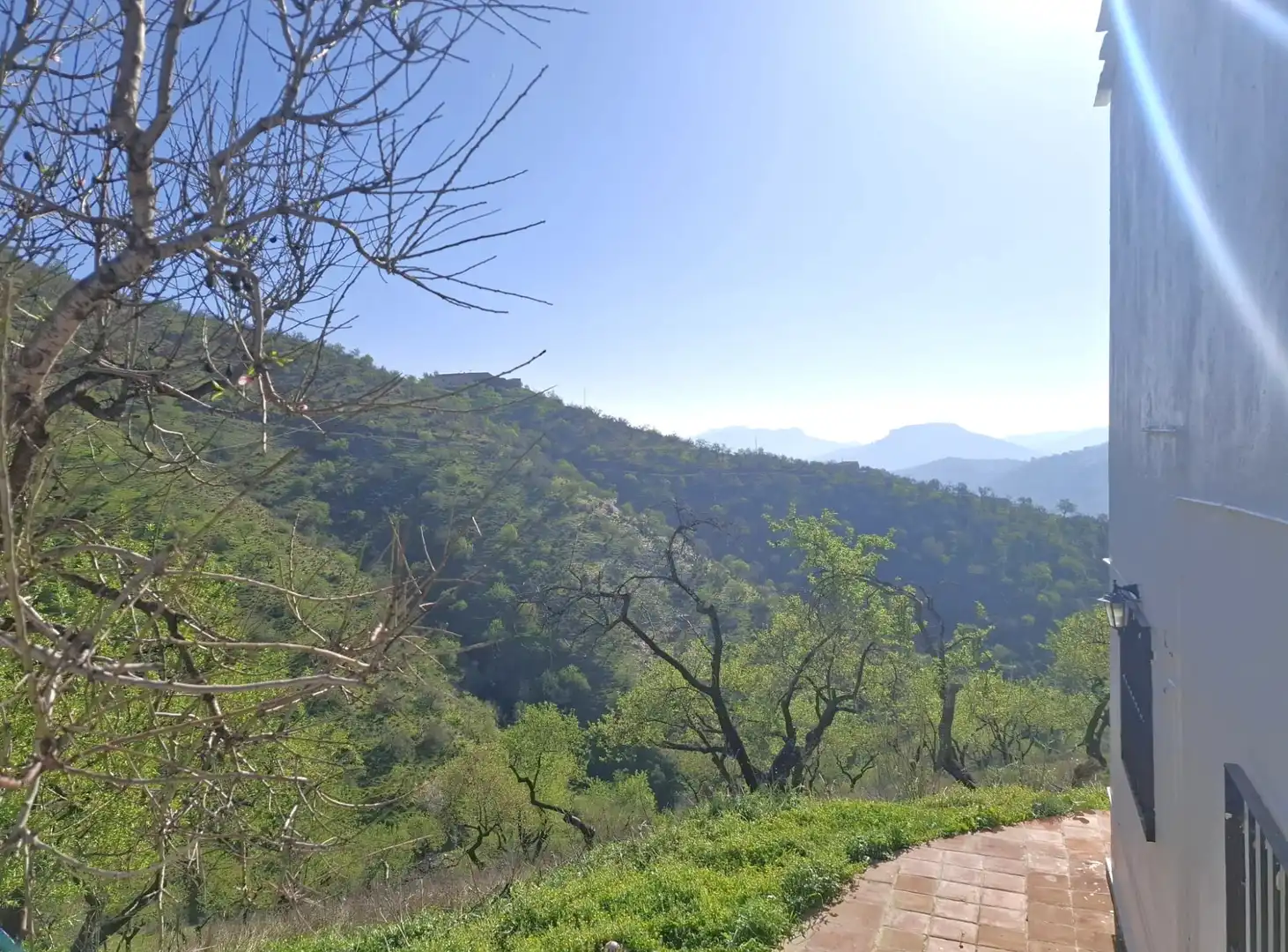 Vista exterior de Finca rústica en venta en Colmenar