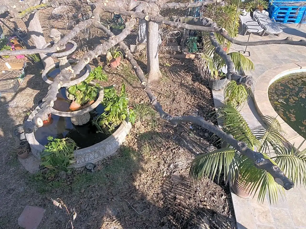 Casa rústica con piscina en venta en Casella, imagen 51