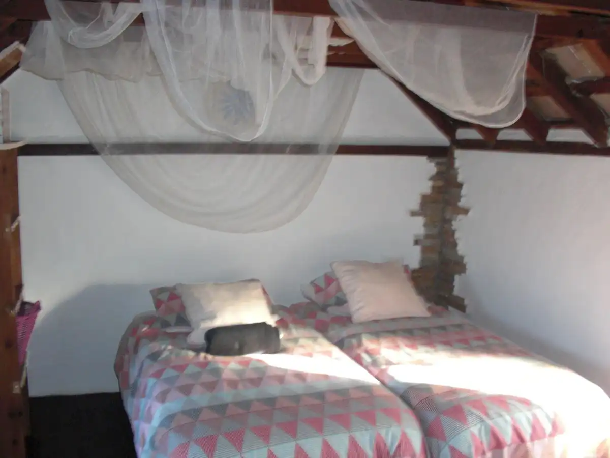 Maison rustique à vendre à Vejer, imagen 53