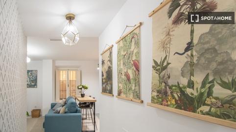 Photo 5 of Apartment to share in Centro Histórico, Cádiz