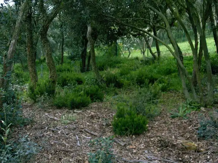Terreny residencial en venda a Romanyà, imagen 4