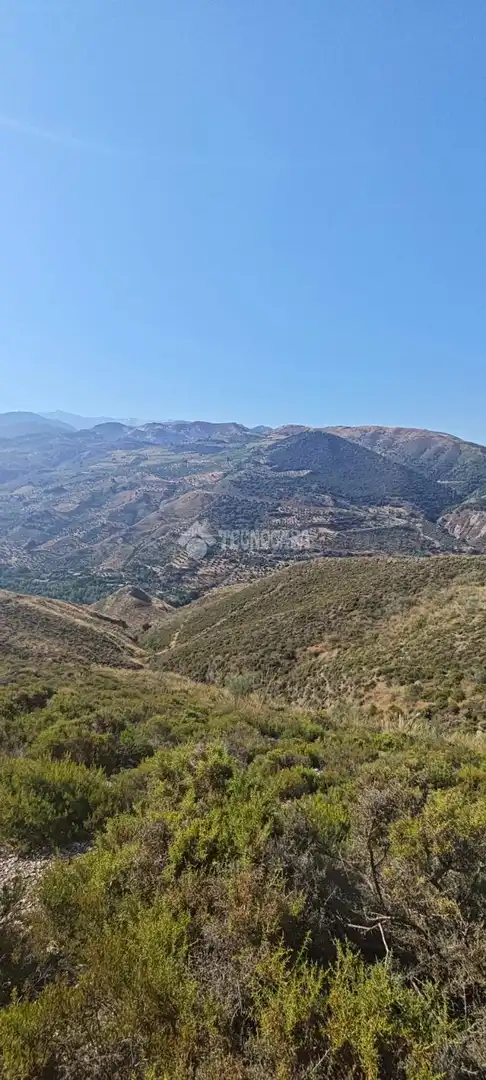 Rustikales Grundstück zum Verkauf in Pinos Genil, imagen 11