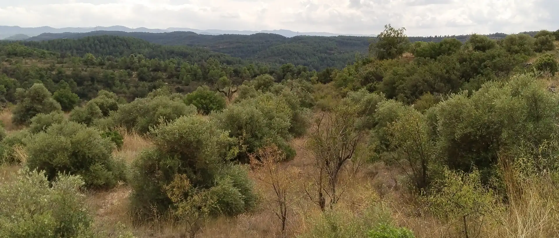Terreno rustico in vendita a Carrer Onze de Setembre 21, imagen 6