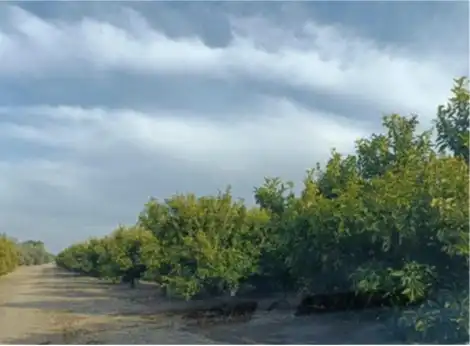 Terreny rústic en venda a Santa Bàrbara, imagen 7