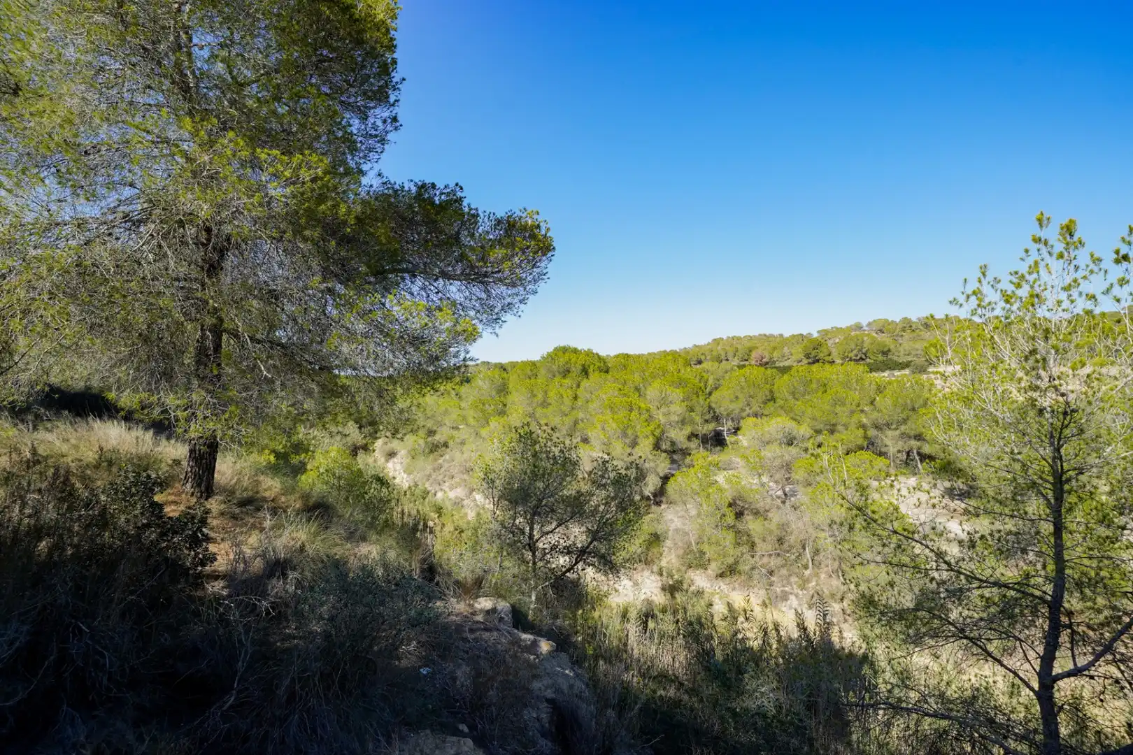 Flat with terrace for sale in El Pinar de Campoverde, imagen 55