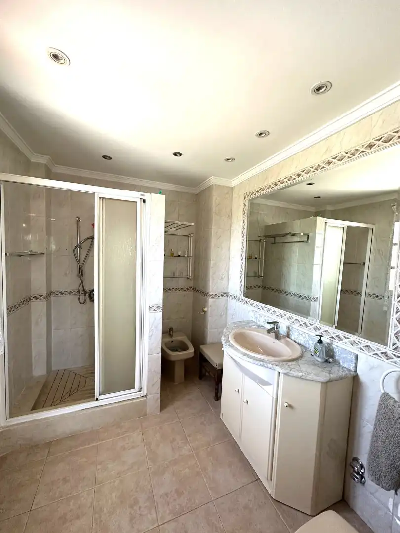 Chalet con piscina en venta en Avenida Pablo Ruiz Picasso 11, imagen 8