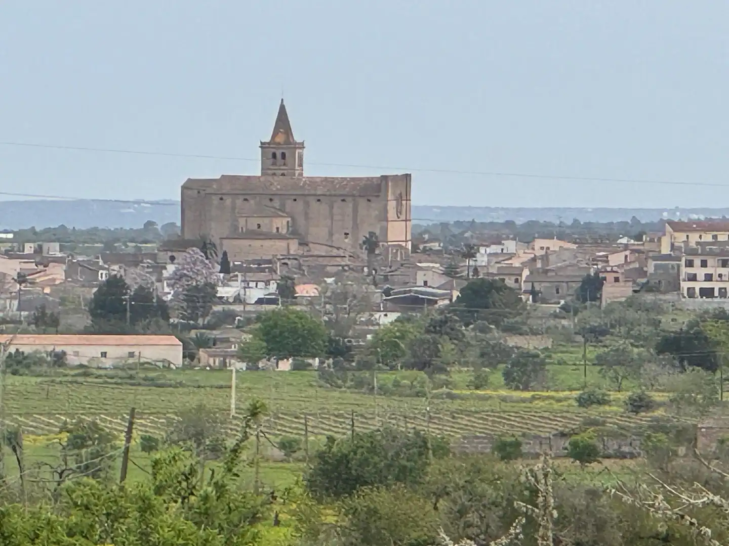 Rustikales Grundstück zum Verkauf in Camino Camí Vell de Porreres 2, imagen 7