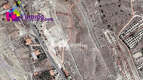 Terreno rustico en pasaje bentaldul sn Albox, immagine 2