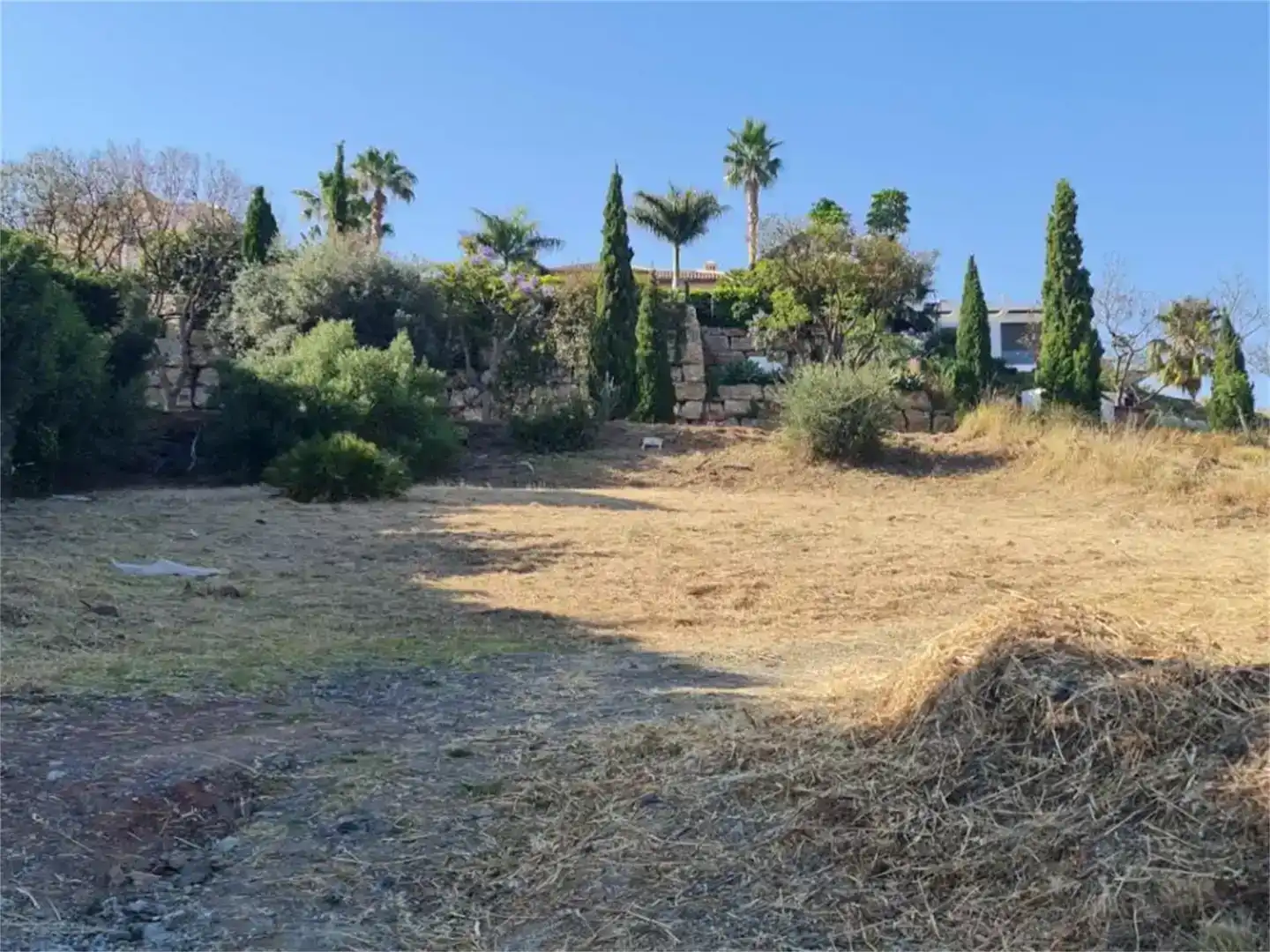 Finca rústica en venda en Benahavís