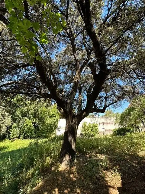 Casa rustica con piscina in vendita a Periurbano Norte, imagen 10