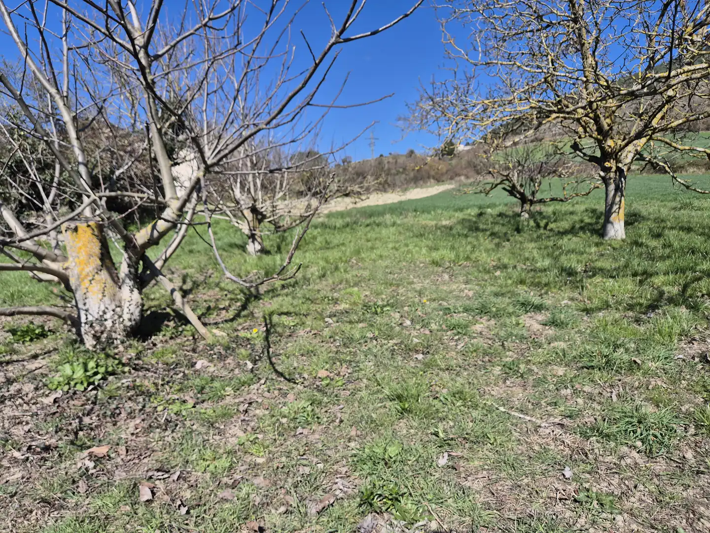 Residential land for sale in Calle San Juan 34, imagen 12