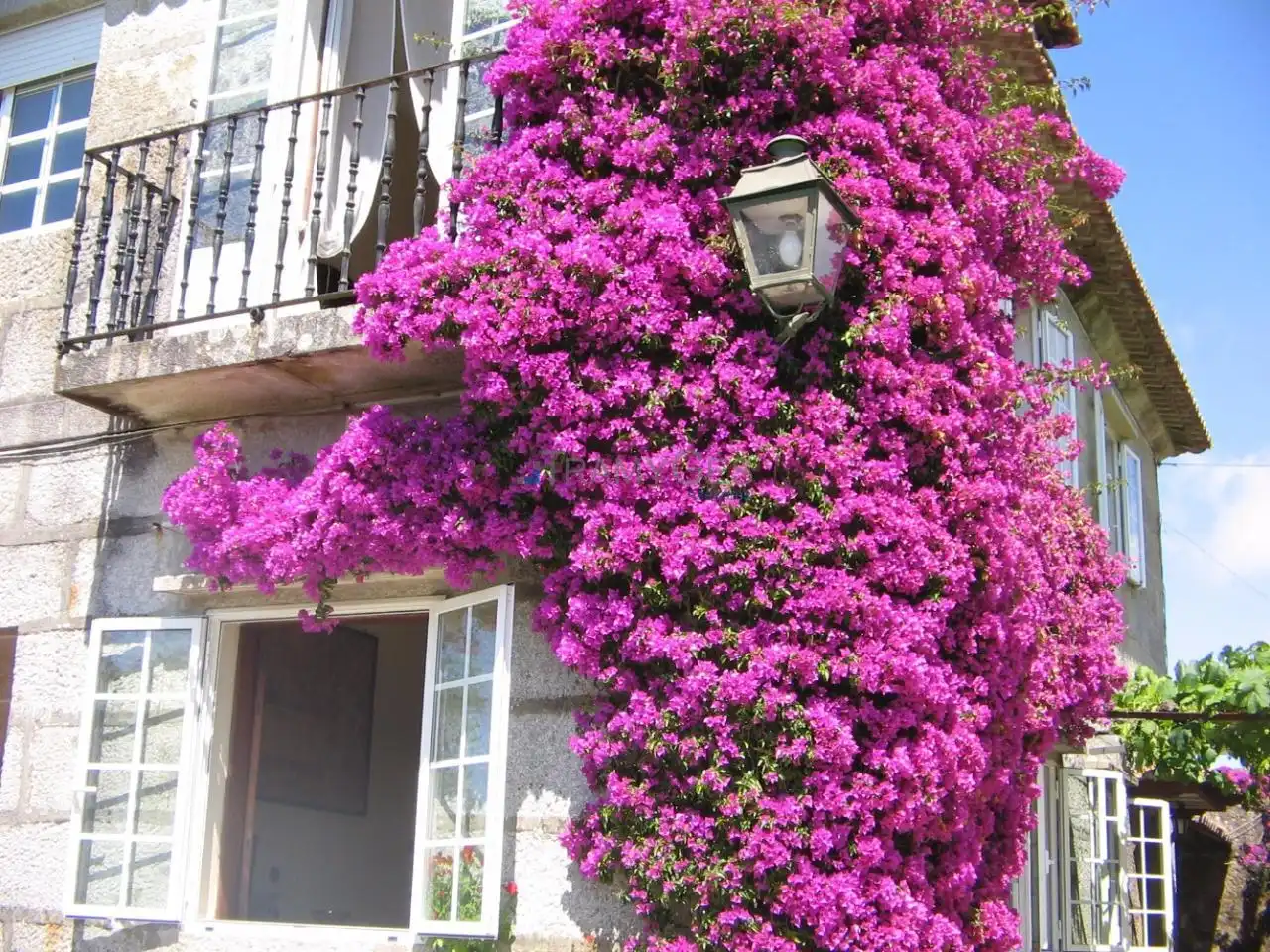 Vista exterior de Casa o chalet en venta en Vigo  con Jardín privado