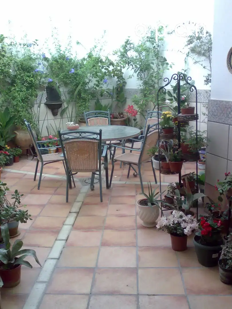House with pool for sale in Centro, imagen 41