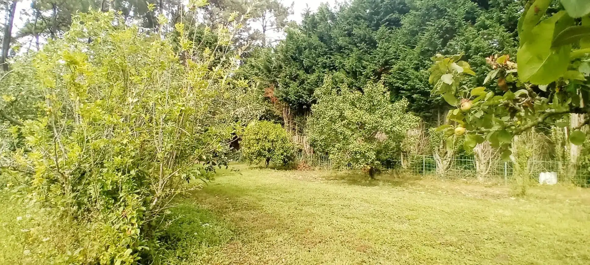 Terreny residencial en venda a Cerca de El Franco, imagen 6