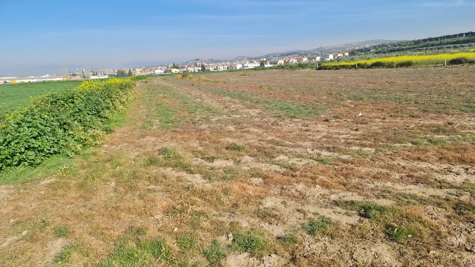 Rustikales Grundstück zum Verkauf in Avenida de Cartuja, imagen 3