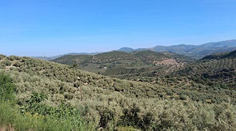 Fincas Cortijo del Cerro, immagine 3