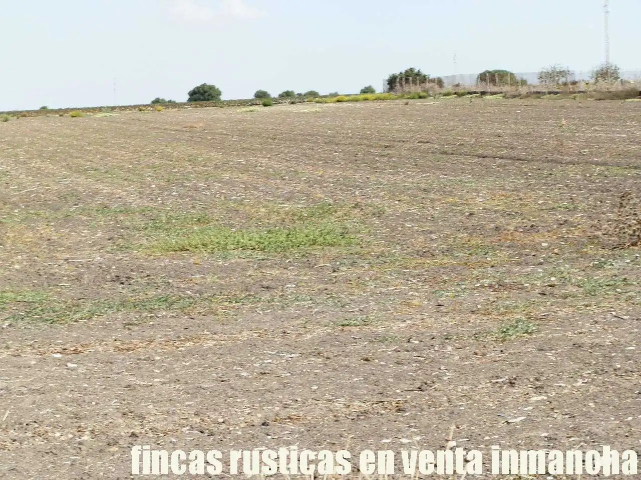 Rural land for sale in Virgen del Mar, imagen 8