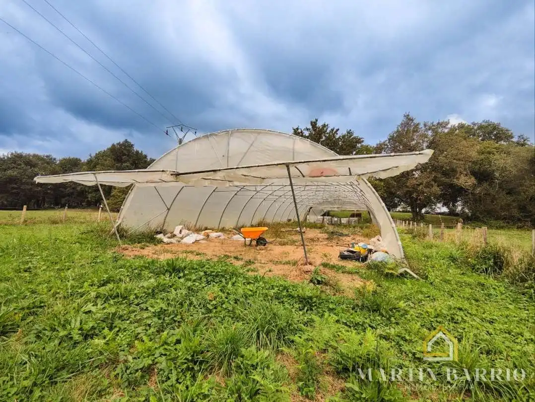 Land for sale in Sopuerta