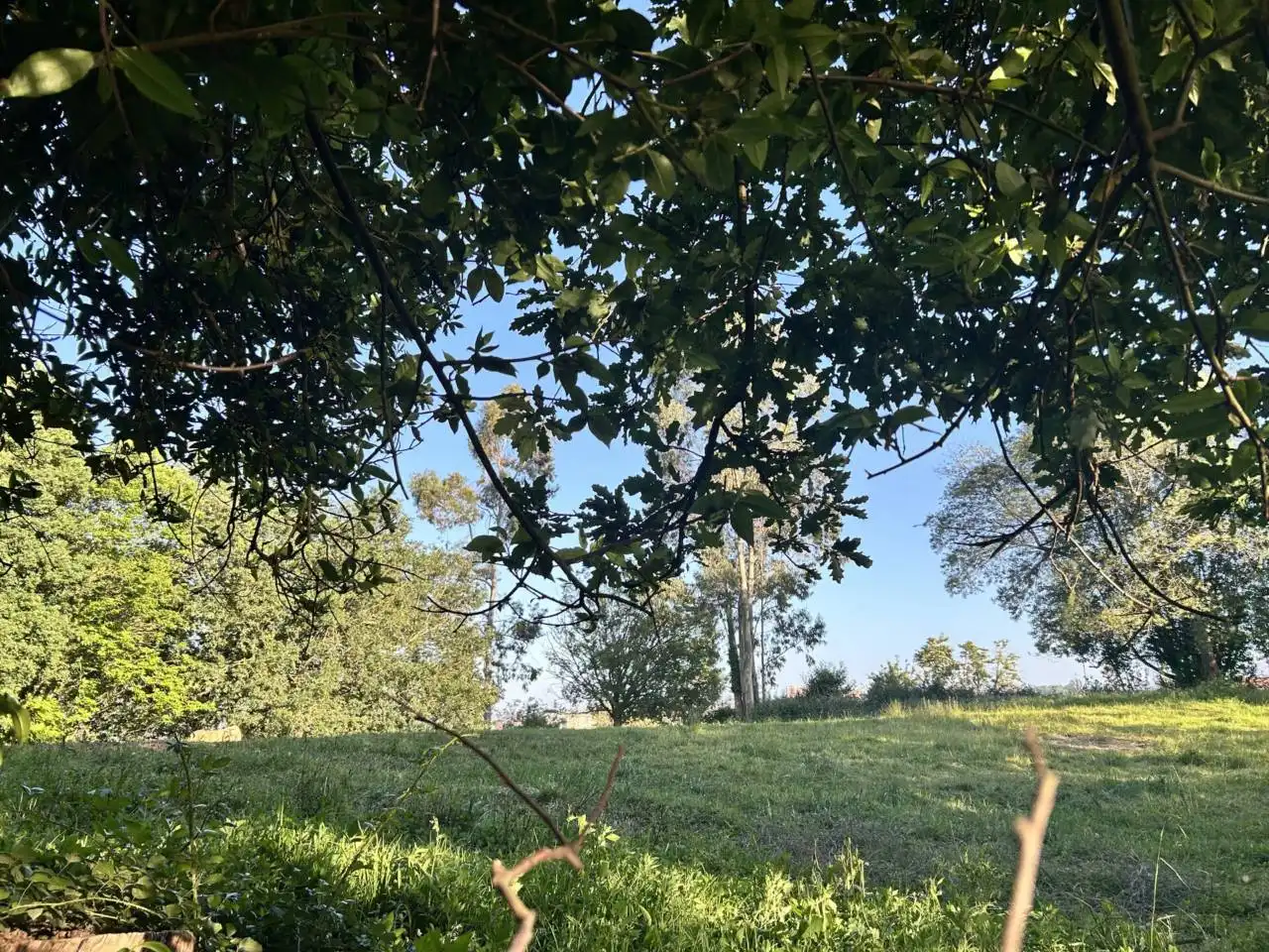 Residencial en venta en Oviedo 