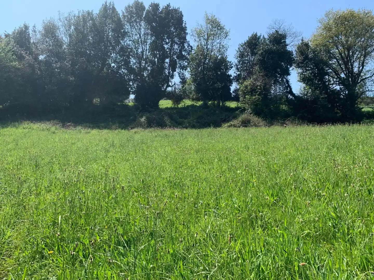 Terrenys i solars en venda a De Los Llanos, imagen 6