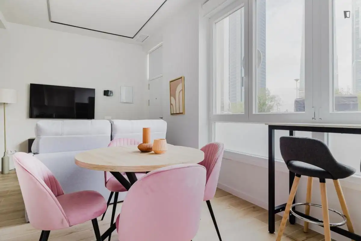 Sala de estar de Apartamento de alquiler en Madrid con Aire acondicionado, Calefacción y Amueblado